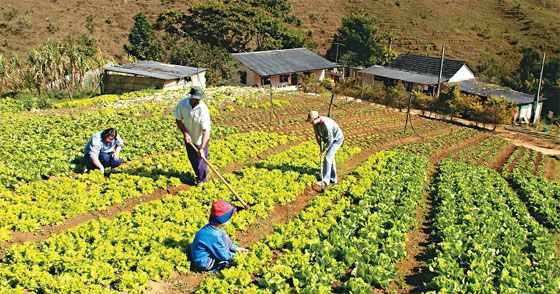 Senado aprova MPs de renegociação de dívida rural e fim de cargos comissionados