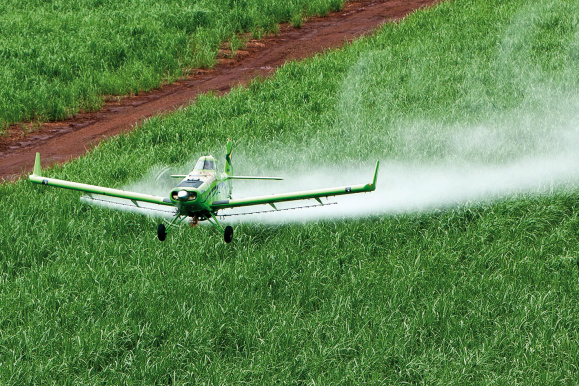 Embrapa impediu a entrada de mais de 70 espécies de pragas agrícolas no Brasil