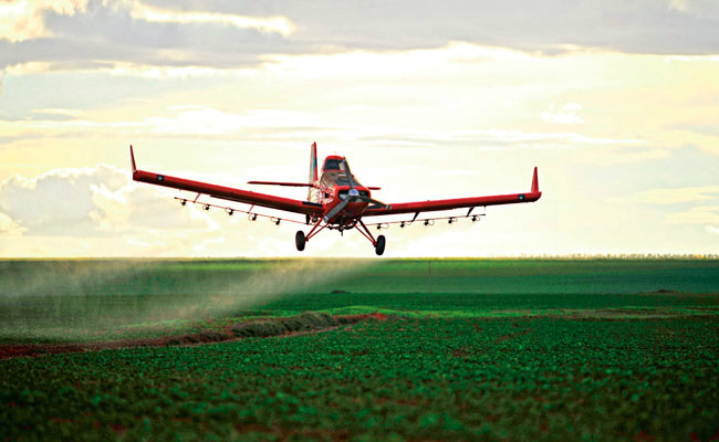 Comitê já elabora o Plano de Controle Biológico de Mato Grosso do Sul