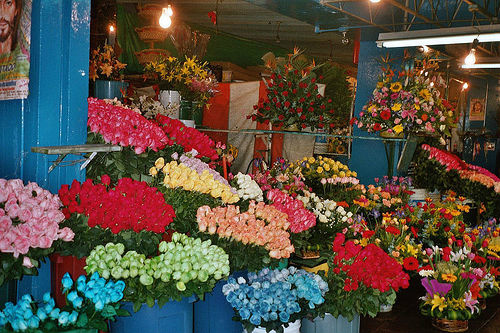 Mercado de flores fatura bilhões por ano e não para de crescer