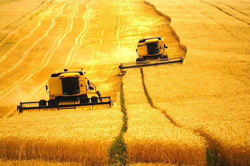 2017 será positivo para o agronegócio brasileiro, diz analista 2017 será positivo para o agronegócio brasileiro, diz analista