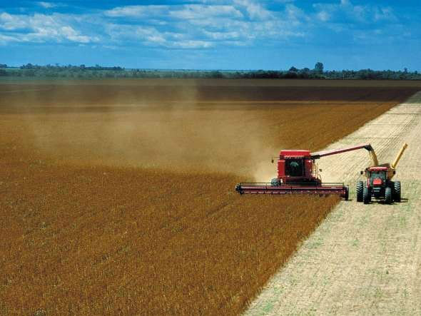 Com expectativa de menor safra, comercialização enfraquece