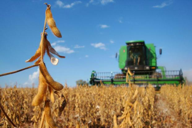 Soja inicia a semana com forte alta na Bolsa de Chicago e retoma o patamar de US$ 10,00 por bushel