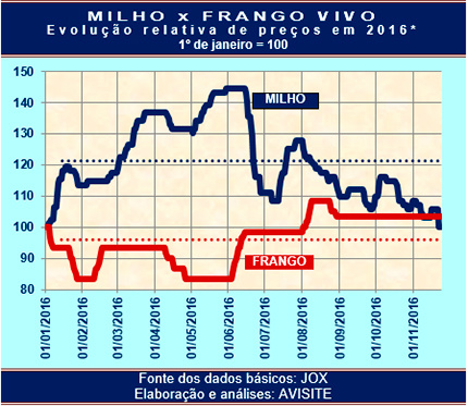 Frango vivo e milho retornam à mesma paridade do início de 2016 Frango vivo e milho retornam à mesma paridade do início de 2016