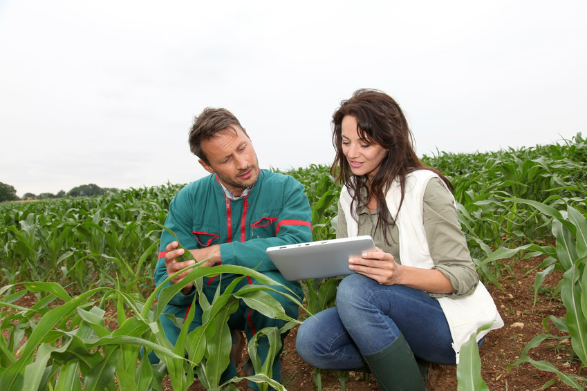 Estamos perto de um estouro da bolha da agricultura digital, diz especialista Estamos perto de um estouro da bolha da agricultura digital, diz especialista