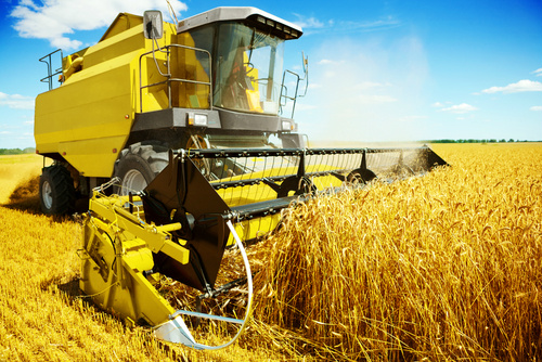 Valorização dos preços favorece desempenho do agronegócio em 2016 Valorização dos preços favorece desempenho do agronegócio em 2016
