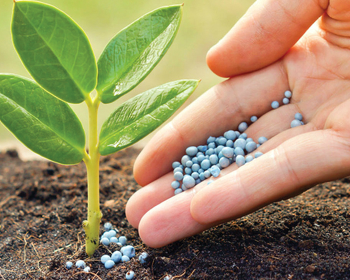 Entregas de fertilizantes caem 9% em fevereiro no Brasil, diz Anda Entregas de fertilizantes caem 9% em fevereiro no Brasil, diz Anda