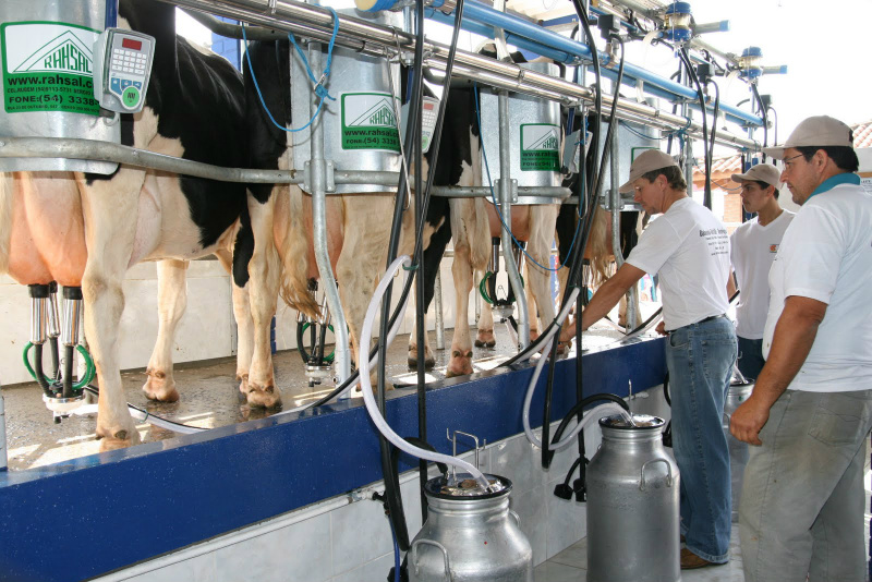 Confederação da Agricultura e Pecuária anuncia política leiteira Pecuária leiteira está ganhando uma política nacional que promete recuperar o setor (Foto: Divulgação/CNA)