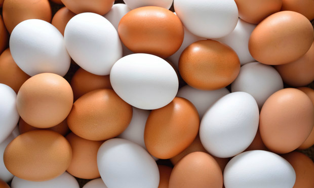Preço dos ovos em março tem evolução superior ao ano passado Preço dos ovos em março tem evolução superior ao ano passado