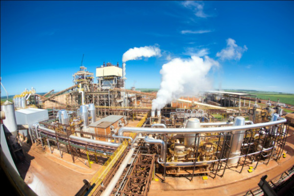 A disponibilidade de cana no Centro-Sul chegará a 607 milhões de toneladas e as usinas vão conseguir moer 589 milhões de toneladas
