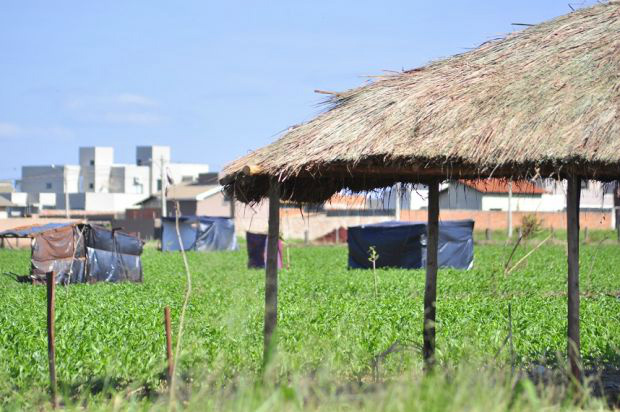 Votação do relatório da CPI do Cimi será dia 10 de maio Votação do relatório da CPI do Cimi será dia 10 de maio