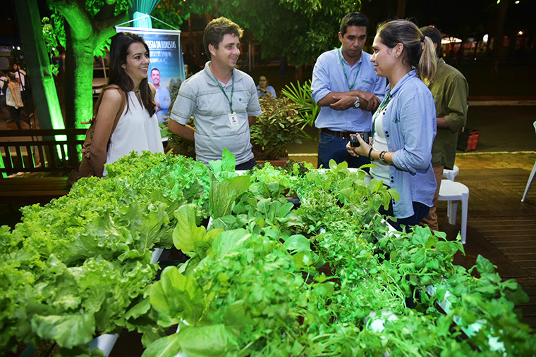 Do campo à cidade, novo modo de agricultura fomenta produção em MS Do campo à cidade, novo modo de agricultura fomenta produção em MS