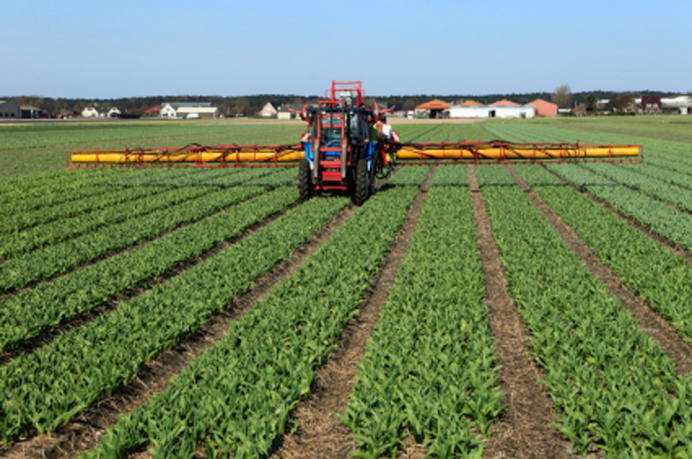 A produtividade do campo é um bom exemplo A produtividade do campo é um bom exemplo