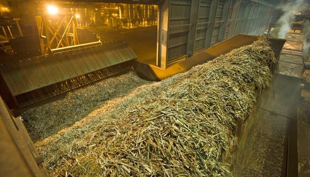 Moagem de cana do centro-sul tem atraso que derruba produção de açúcar e etanol