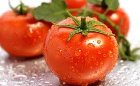 Tomate/Cepea: Com ainda pouca oferta da safra de inverno, preço sobe