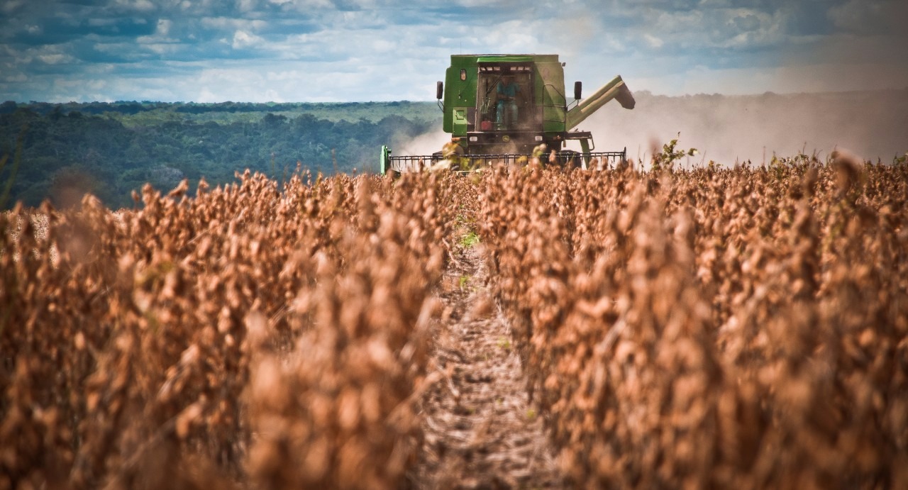 Argentina: por conta de inundações, partido de Buenos Aires não poderá plantar safra de inverno Argentina: por conta de inundações, partido de Buenos Aires não poderá plantar safra de inverno