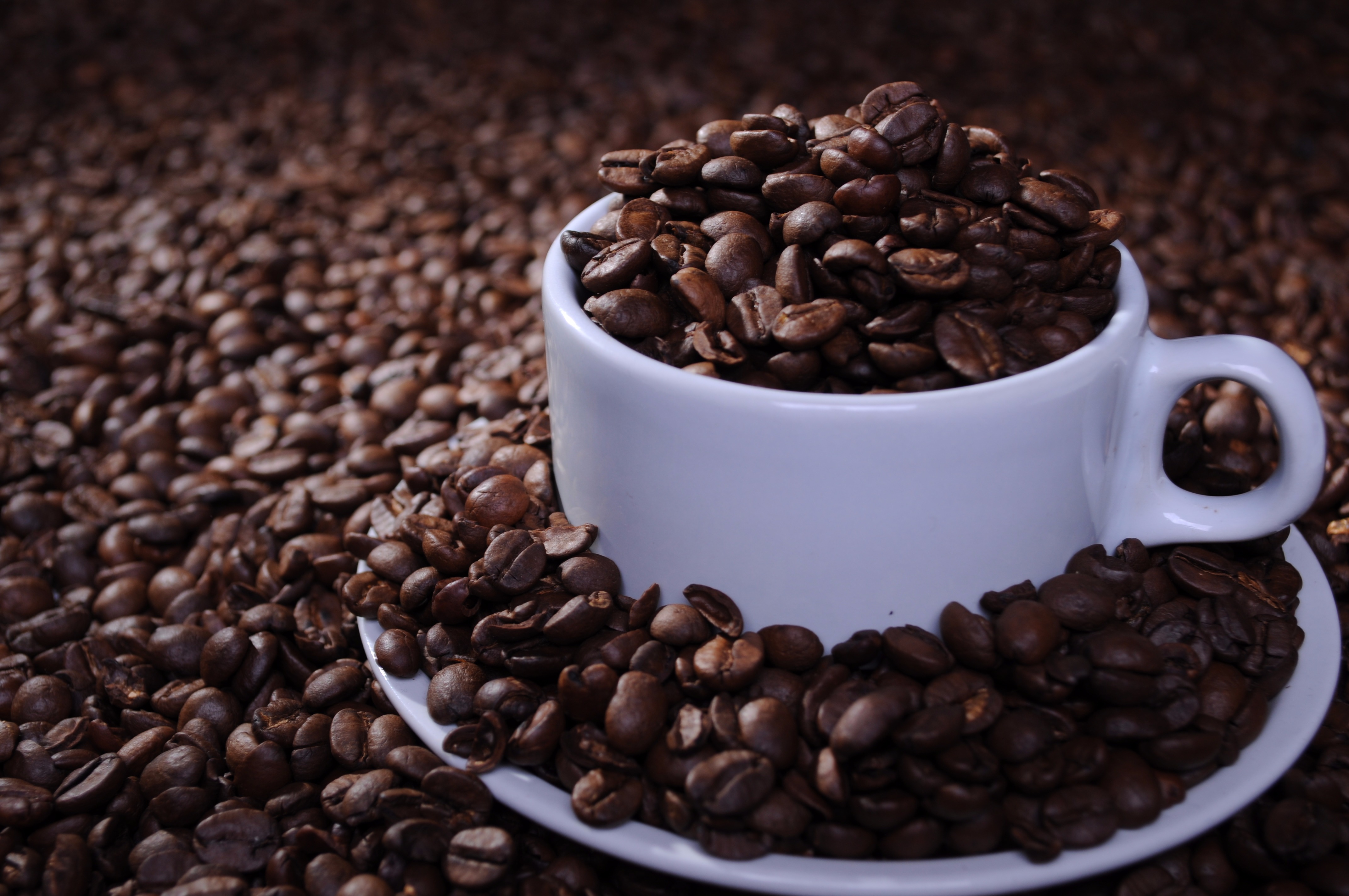 Com maior concorrência, Brasil deve ter foco em qualidade em café