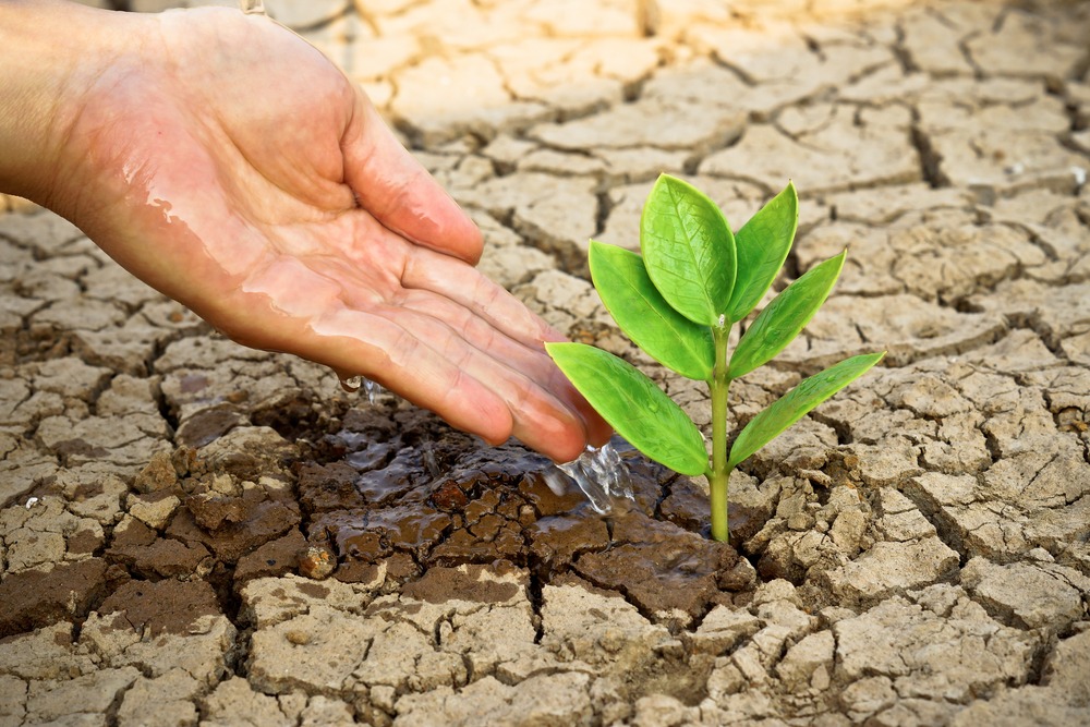 Resistência à seca: alternativa da biotecnologia para preservação da água