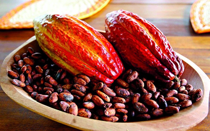Café robusta encerra sessão desta 2ª com queda de mais de US$ 10 por tonelada na Bolsa de Londres Café robusta encerra sessão desta 2ª com queda de mais de US$ 10 por tonelada na Bolsa de Londres