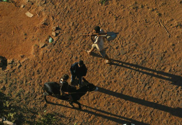 Projeto também cria a Comissão Nacional de Combate à Desertificação.Foto: Arquivo/ABR