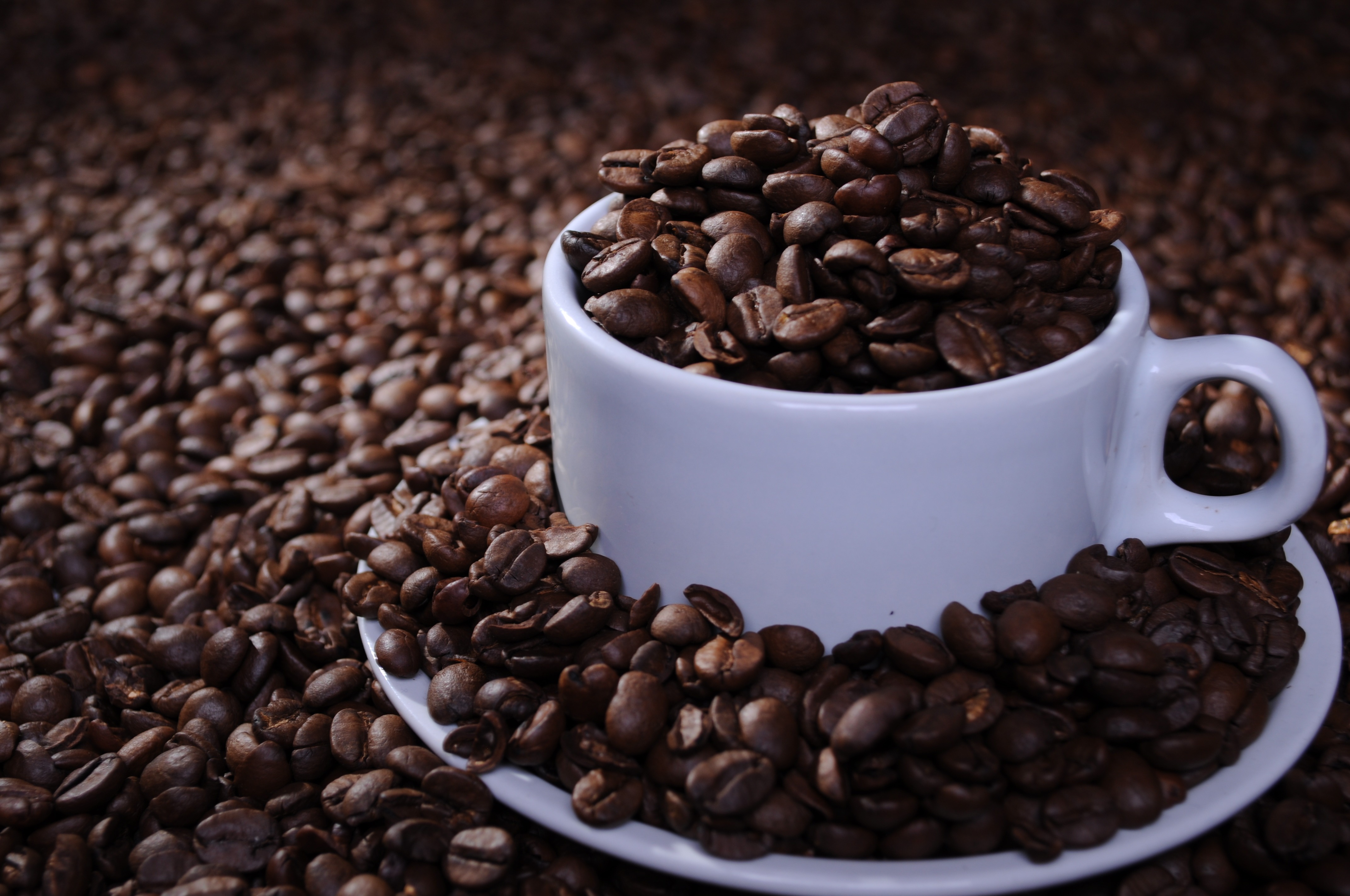 Café robusta encerra sessão desta 4ª com queda de mais de US$ 30 por tonelada na Bolsa de Londres