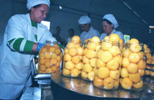 Aprovada criação da Secretaria da Micro e Pequena Empresa A criação da nova instituição significa um grande avanço para as micro e pequenas empresas