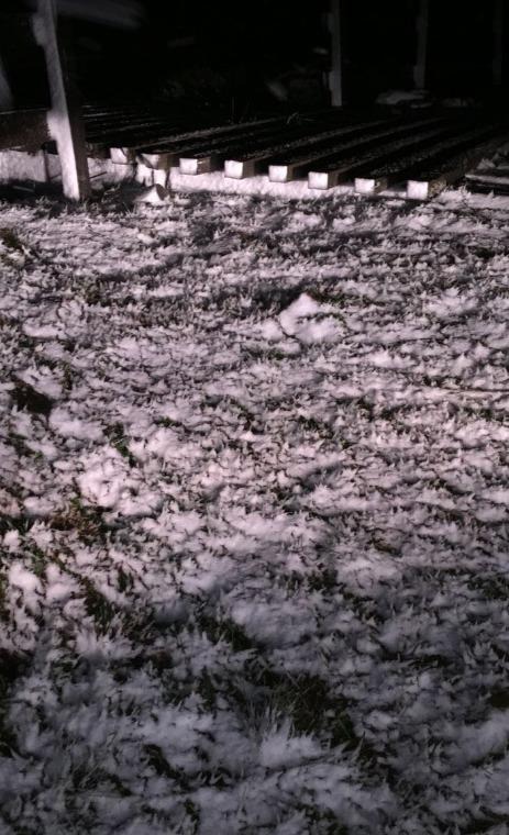 Neve acumulada em Bom Jardim da Serra - Foto: Mario - via São Joaquim Online