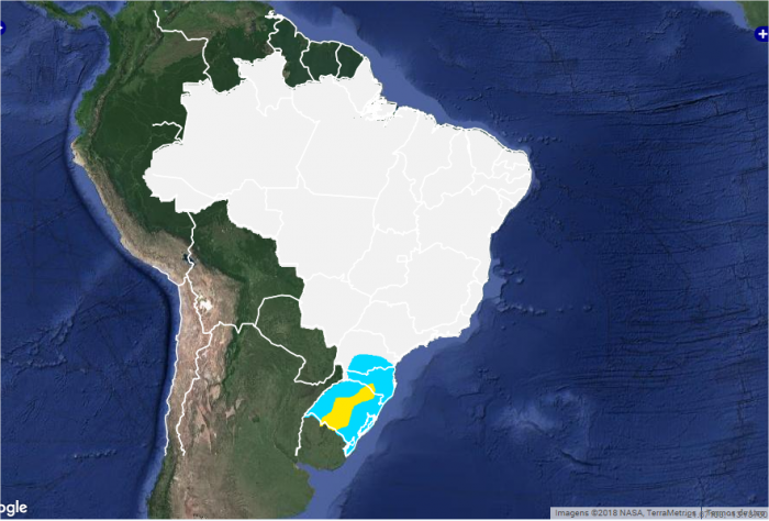 As áreas em azul apresentam chances de geadas fracas e as em amarelo moderada.