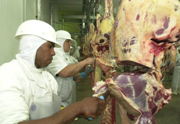 Vendas fracas na última semana reduzem preço da carne Preço dos cortes de traseiro acumula queda de 6,8% nas cotações.Foto: Claudio Vaz / Agencia RBS