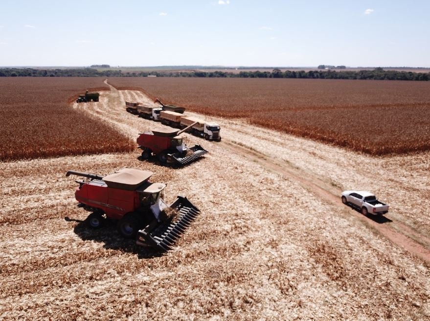 Colheita NS50PRO2 em Sinop (MT). Envio do Engenheiro Agrônomo Daniel Bogorni​
