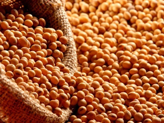 Soja acumula perdas de quase 7% na Bolsa de Chicago com USDA e guerra comercial
