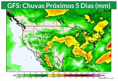 Soja acumula perdas de quase 7% na Bolsa de Chicago com USDA e guerra comercial