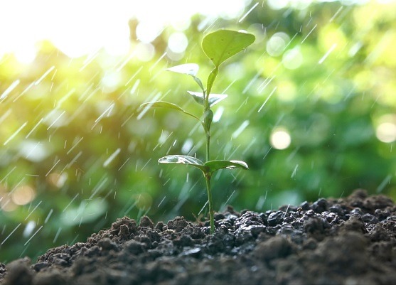 Comprometido com a sustentabilidade, agro prioriza preservação e uso racional da água Comprometido com a sustentabilidade, agro prioriza preservação e uso racional da água