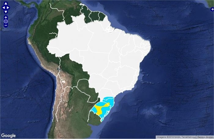 Tempo: Frio toma conta da região Sul e geadas podem ocorrer nos próximos dias no RS, PR e SC