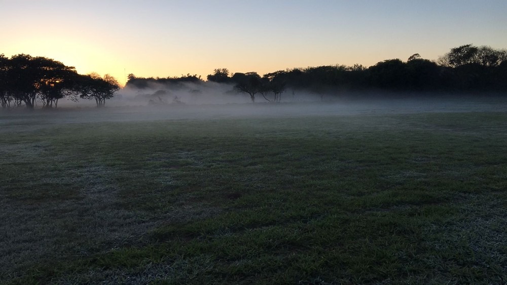 MS tem geada em diversos municípios e frio só deve ir embora no domingo MS tem geada em diversos municípios e frio só deve ir embora no domingo