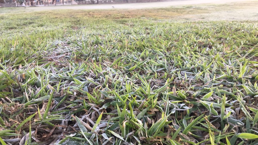 MS tem geada em diversos municípios e frio só deve ir embora no domingo MS tem geada em diversos municípios e frio só deve ir embora no domingo