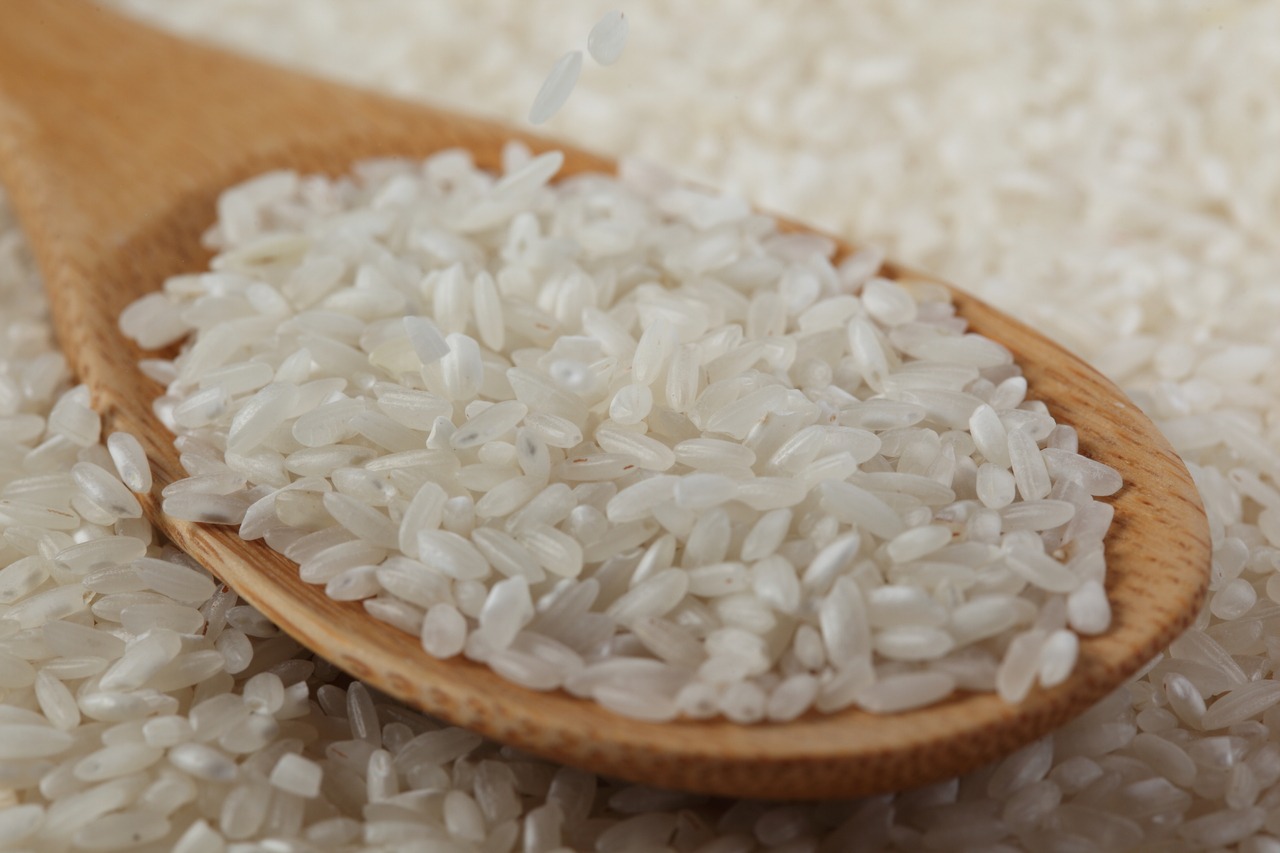 Arroz: Mercado de arroz tem ritmo lento na primeira quinzena de agosto Arroz: Mercado de arroz tem ritmo lento na primeira quinzena de agosto
