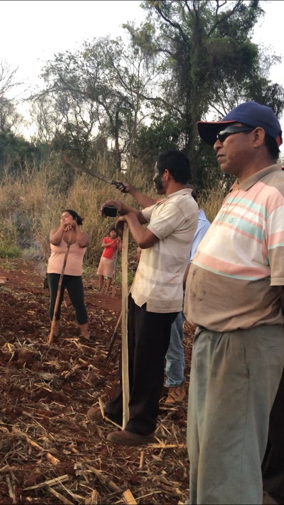 Com apoio da Funai e Sesai, índios ampliam as invasões de propriedades em Dourados Com apoio da Funai e Sesai, índios ampliam as invasões de propriedades em Dourados