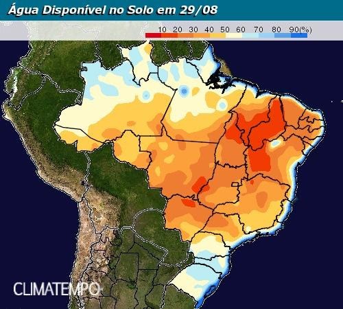 Colheita do algodão avança sem grandes transtornos