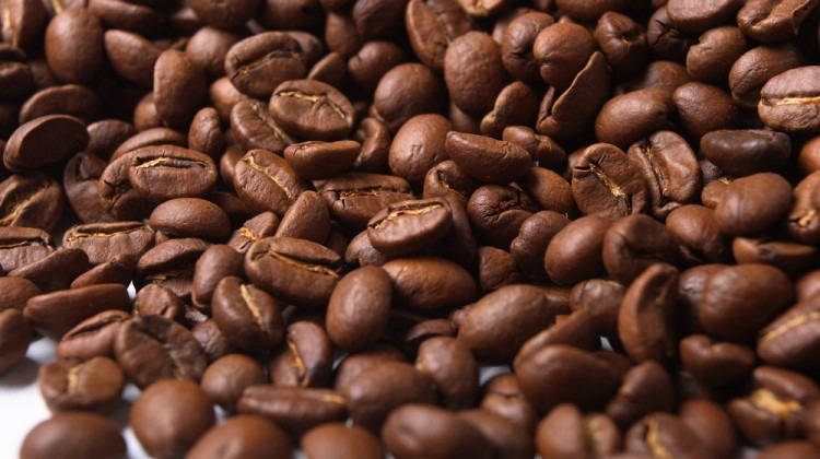 Florada antecipada pode prejudicar próxima safra de café arábica no Brasil