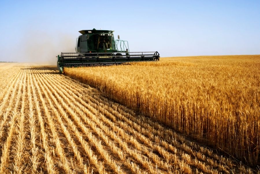 Valor da produção agropecuária é de R$ 565,6 bilhões Valor da produção agropecuária é de R$ 565,6 bilhões