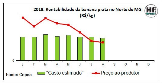 Banana: Cultura pode perder espaço em Minas Gerais Banana: Cultura pode perder espaço em Minas Gerais
