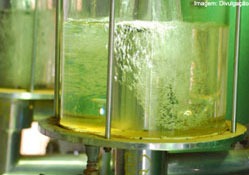 Etanol: hidratado valoriza 1,51% e anidro sobe 1,40% nas usinas paulistas Etanol: hidratado valoriza 1,51% e anidro sobe 1,40% nas usinas paulistas