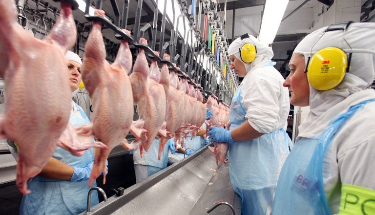 Exportação de frango: México habilita 26 frigoríficos brasileiros como aptos para venda