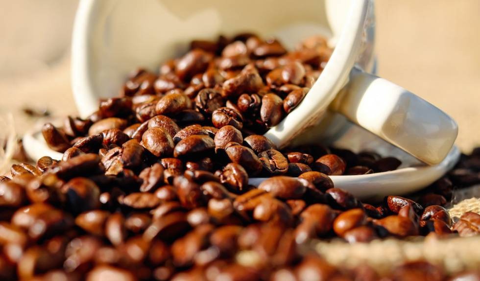 Café: Cotações do arábica operam com leve baixa nesta manhã de 3ª feira na Bolsa de Nova York