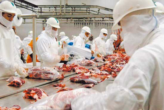 Exportações de carne em fevereiro superam 2012 As vendas diárias de carne bovina apresentam a maior elevação entre as proteínas.