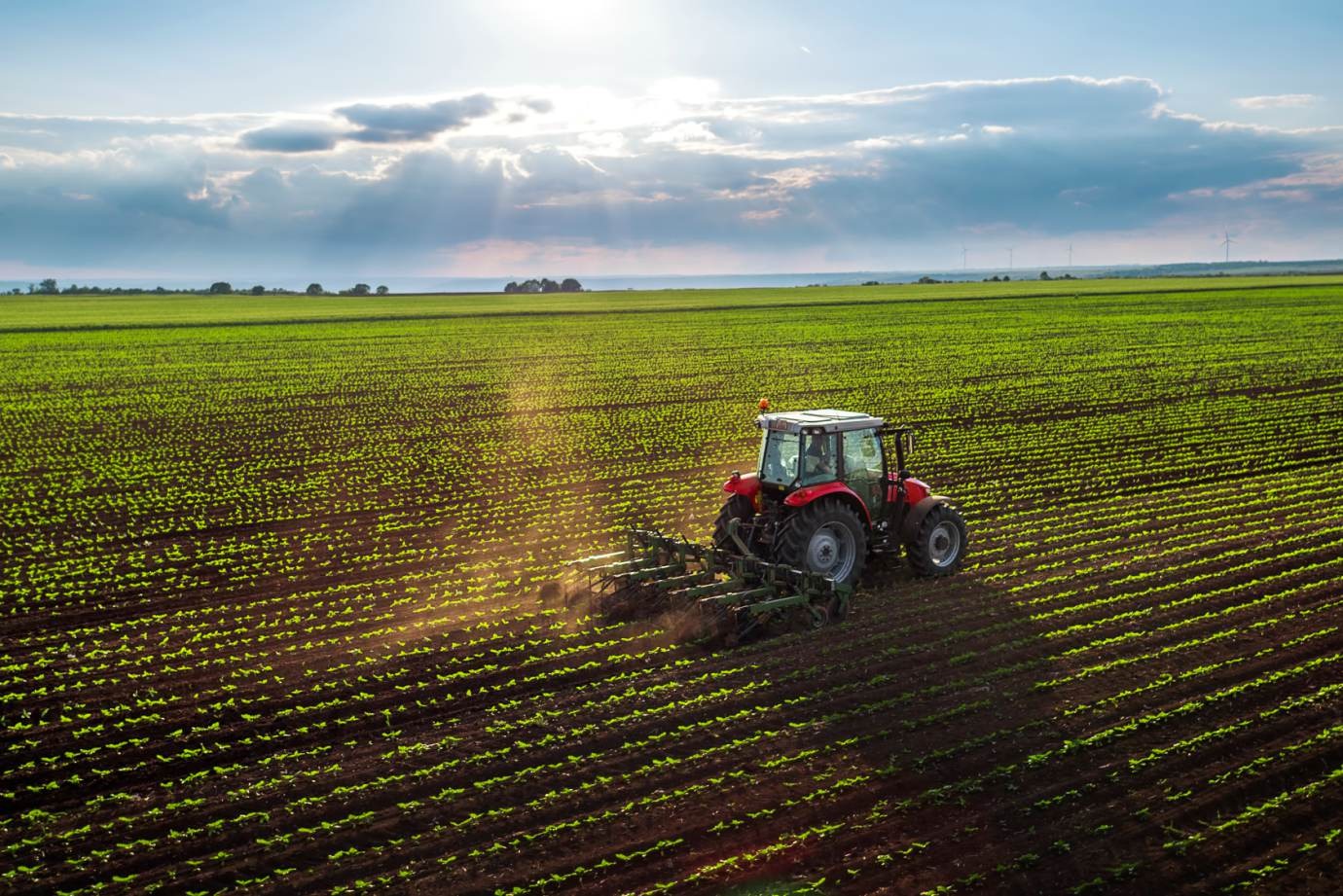Agronegócio: Saldo da Balança Comercial fecha em US$ 9,84 bilhões