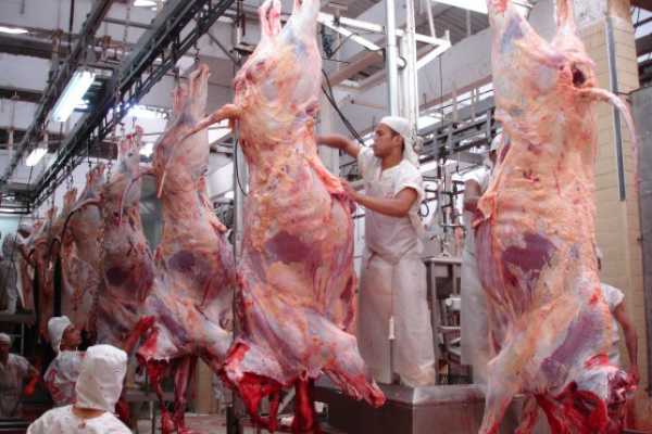 Cai expectativa de exportações de carne bovina em 2013 Este volume equivale a 15,0% da produção global de carne bovina esperada para 2013