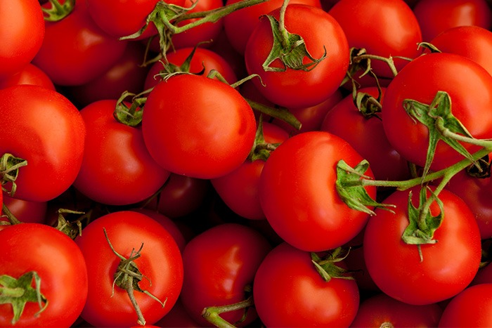 Tomate: Safra de inverno 2018 se encerra com resultados positivos Tomate: Safra de inverno 2018 se encerra com resultados positivos