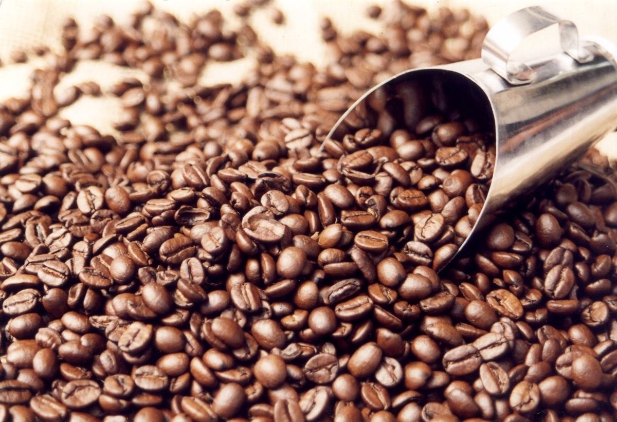 Café: Bolsa de Nova York recua mais de 100 pts nesta tarde de 4ª feira com oferta e petróleo Café: Bolsa de Nova York recua mais de 100 pts nesta tarde de 4ª feira com oferta e petróleo